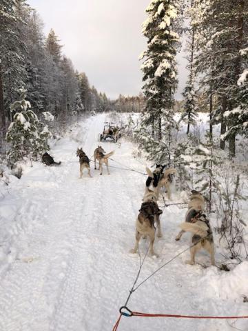 Arctic Suite Evakko روفانييمي المظهر الخارجي الصورة